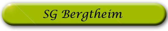 sg bergtheim